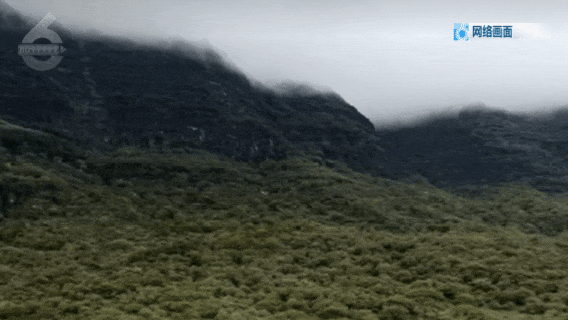 里都难找路！”7人登山迷路被困！开元棋牌试玩“没有村民向导我们夜(图3)